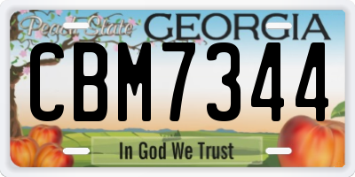 GA license plate CBM7344