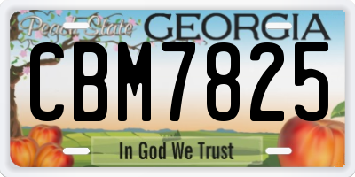 GA license plate CBM7825