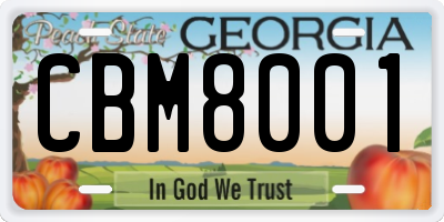 GA license plate CBM8001