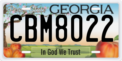 GA license plate CBM8022