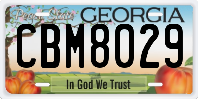 GA license plate CBM8029