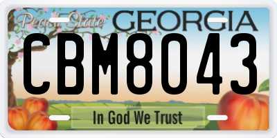 GA license plate CBM8043