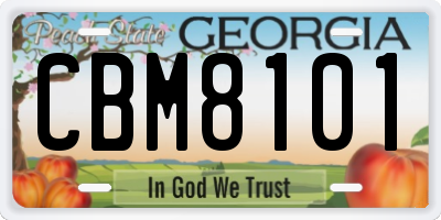 GA license plate CBM8101