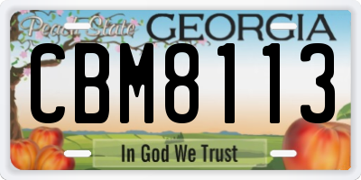GA license plate CBM8113