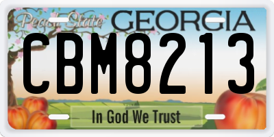 GA license plate CBM8213