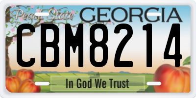 GA license plate CBM8214