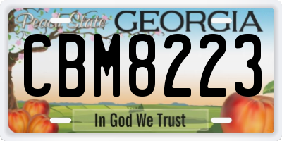 GA license plate CBM8223