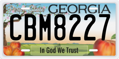 GA license plate CBM8227