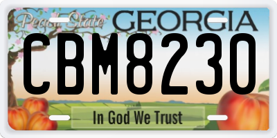 GA license plate CBM8230