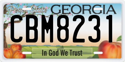 GA license plate CBM8231