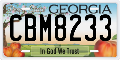 GA license plate CBM8233