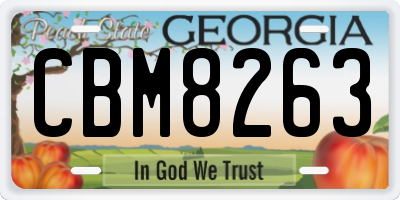 GA license plate CBM8263