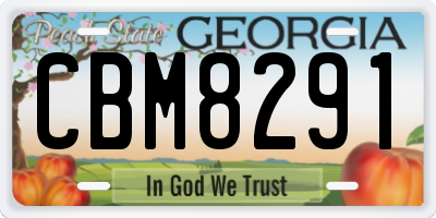 GA license plate CBM8291