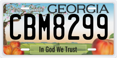 GA license plate CBM8299