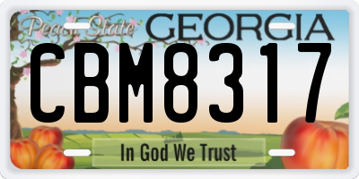 GA license plate CBM8317