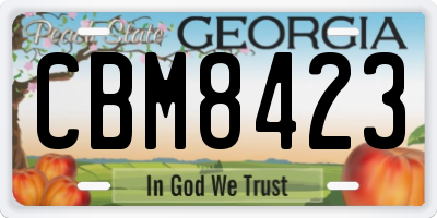 GA license plate CBM8423