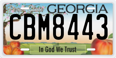 GA license plate CBM8443