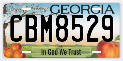 GA license plate CBM8529