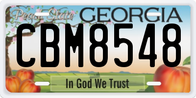 GA license plate CBM8548