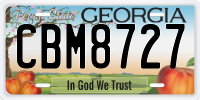 GA license plate CBM8727