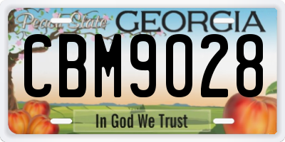 GA license plate CBM9028