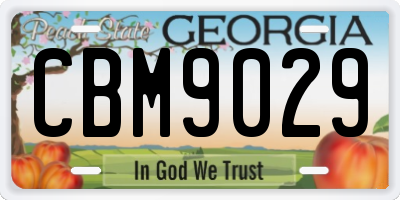 GA license plate CBM9029
