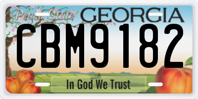 GA license plate CBM9182