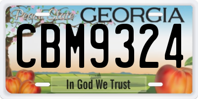 GA license plate CBM9324
