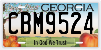 GA license plate CBM9524