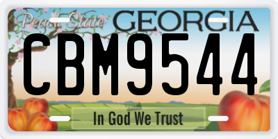 GA license plate CBM9544