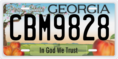 GA license plate CBM9828