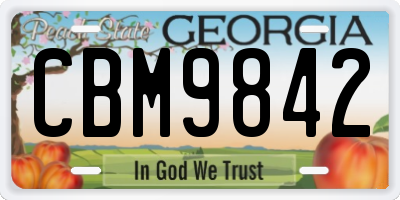 GA license plate CBM9842