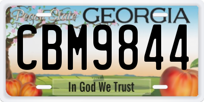 GA license plate CBM9844