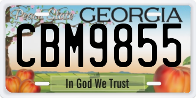 GA license plate CBM9855