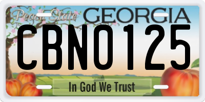 GA license plate CBN0125