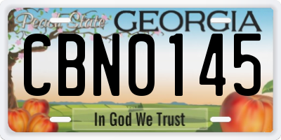 GA license plate CBN0145