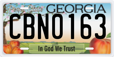 GA license plate CBN0163