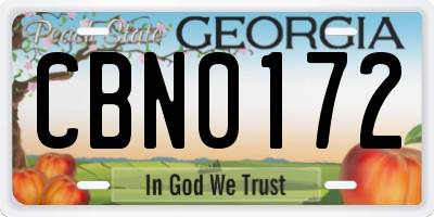 GA license plate CBN0172