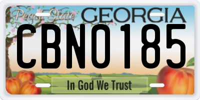 GA license plate CBN0185
