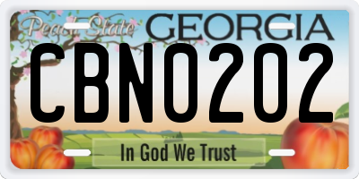 GA license plate CBN0202