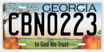 GA license plate CBN0223