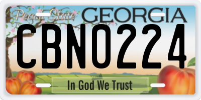 GA license plate CBN0224