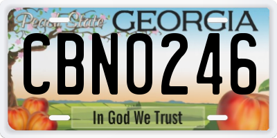 GA license plate CBN0246