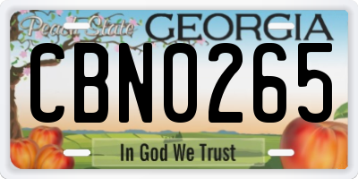 GA license plate CBN0265