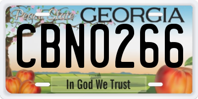 GA license plate CBN0266