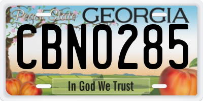 GA license plate CBN0285