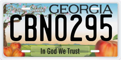 GA license plate CBN0295