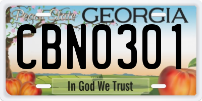 GA license plate CBN0301