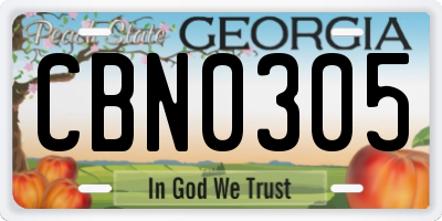 GA license plate CBN0305