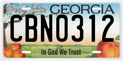 GA license plate CBN0312